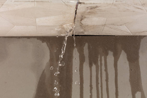 Professional Flood Damage Cleanup technician working in Polo, MO